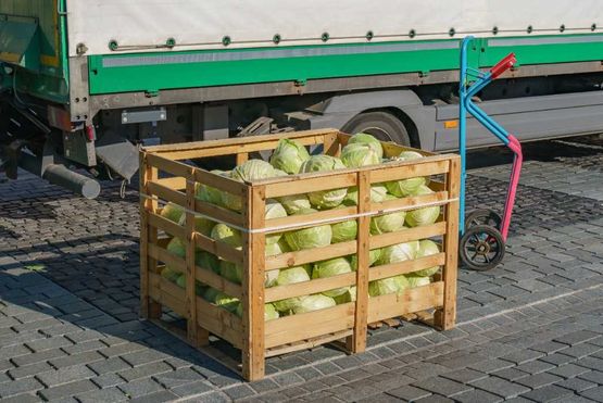 transporte comida